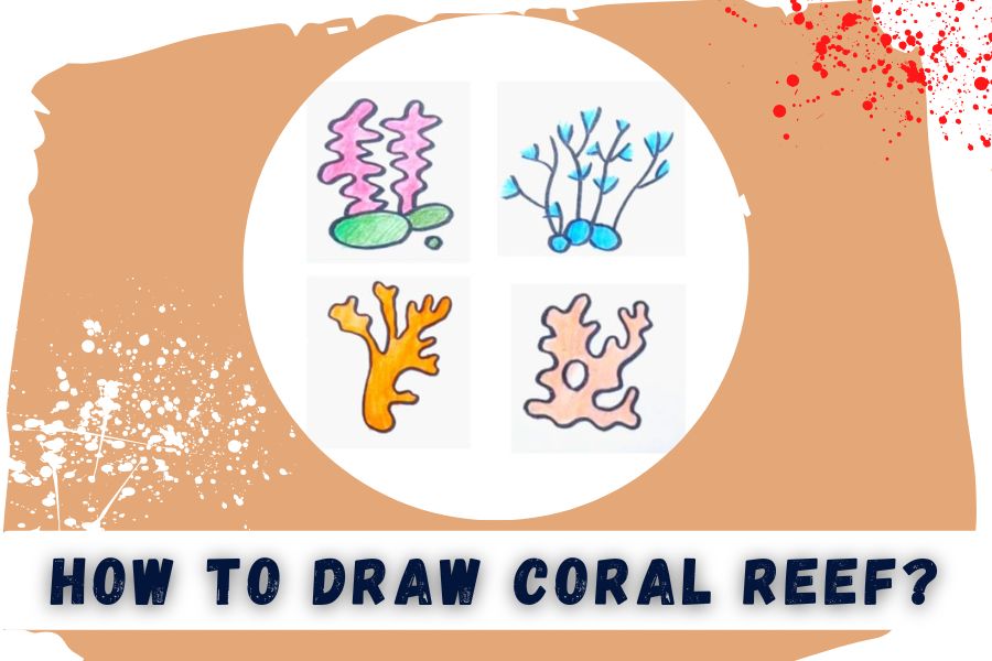 HOW TO DRAW CORAL REEF