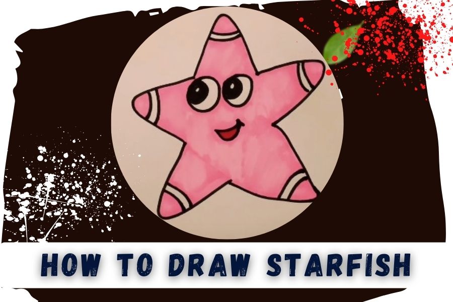 How To Draw a Starfish Step By Step Starfish Drawing