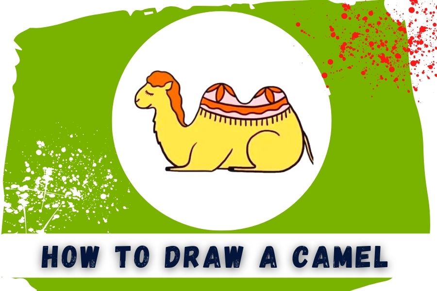 How To Draw A Camel