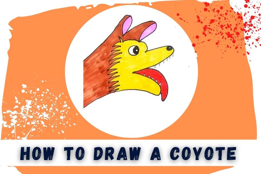 How To Draw A Coyote In Easy 9 Steps
