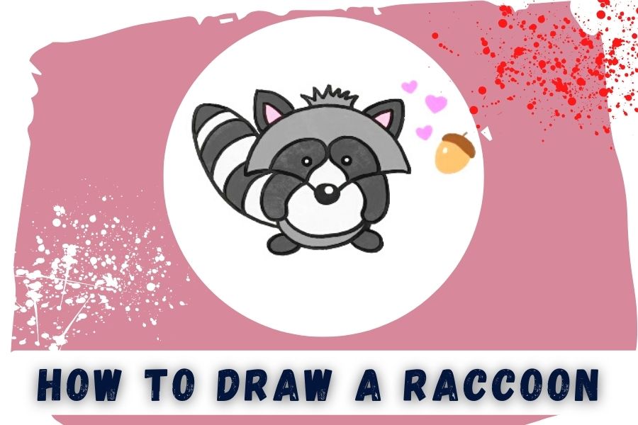 How To Draw A Raccoon In Easy 9 Steps