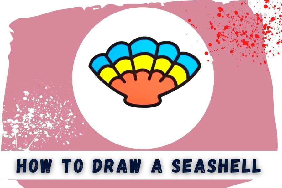 How To Draw A Seashell Simple And Easy Tutorial