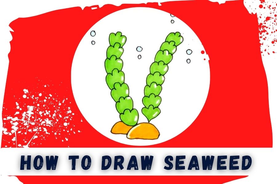 How To Draw Seaweed Easy And Simple Guide