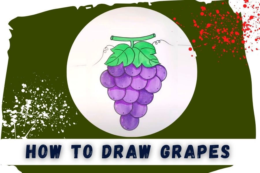 how to draw grapes