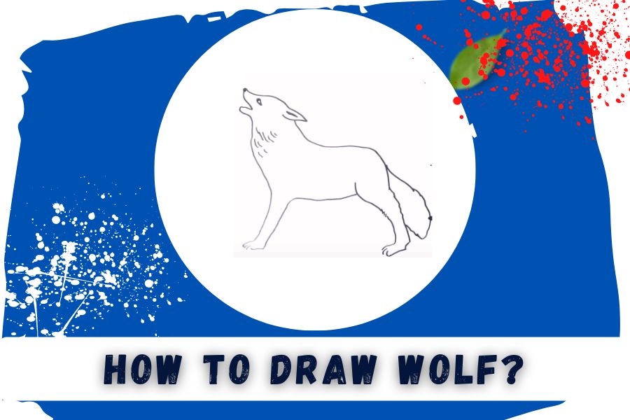 HOW TO DRAW A WOLF