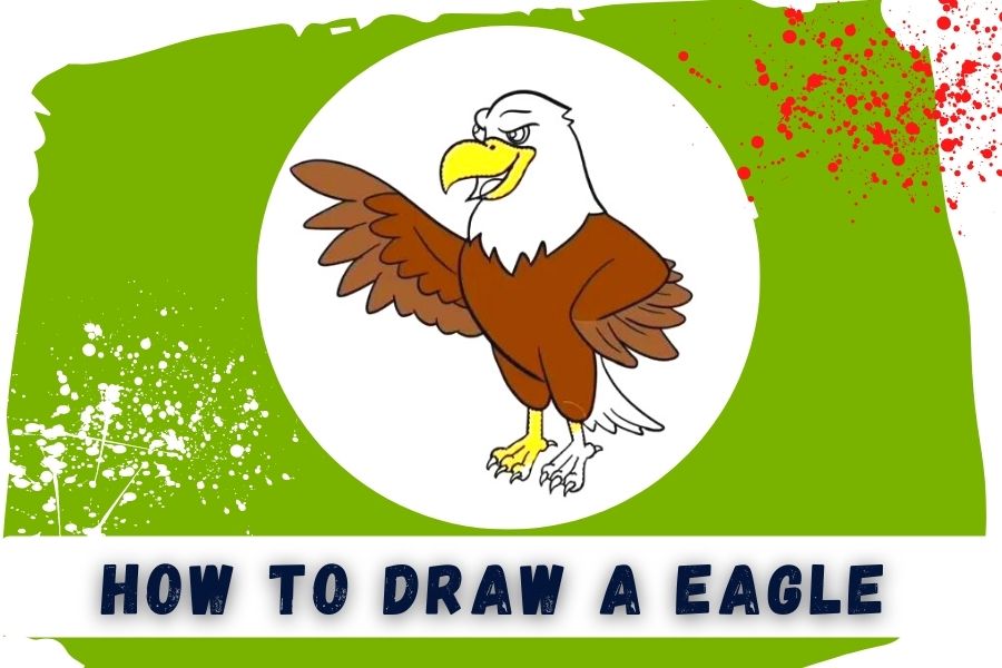 How To Draw An Eagle