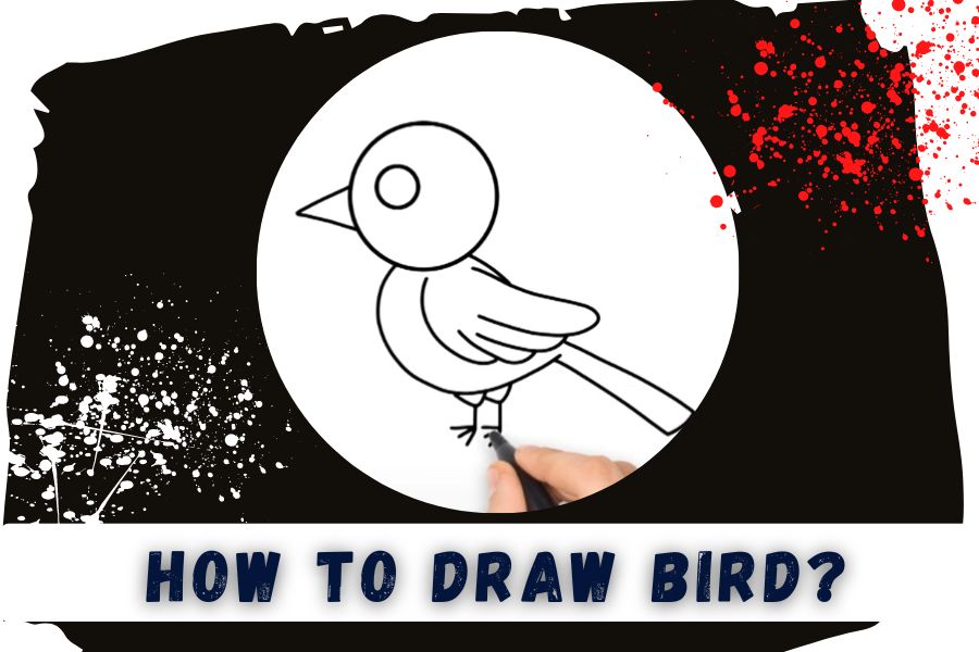 How To Draw Bird