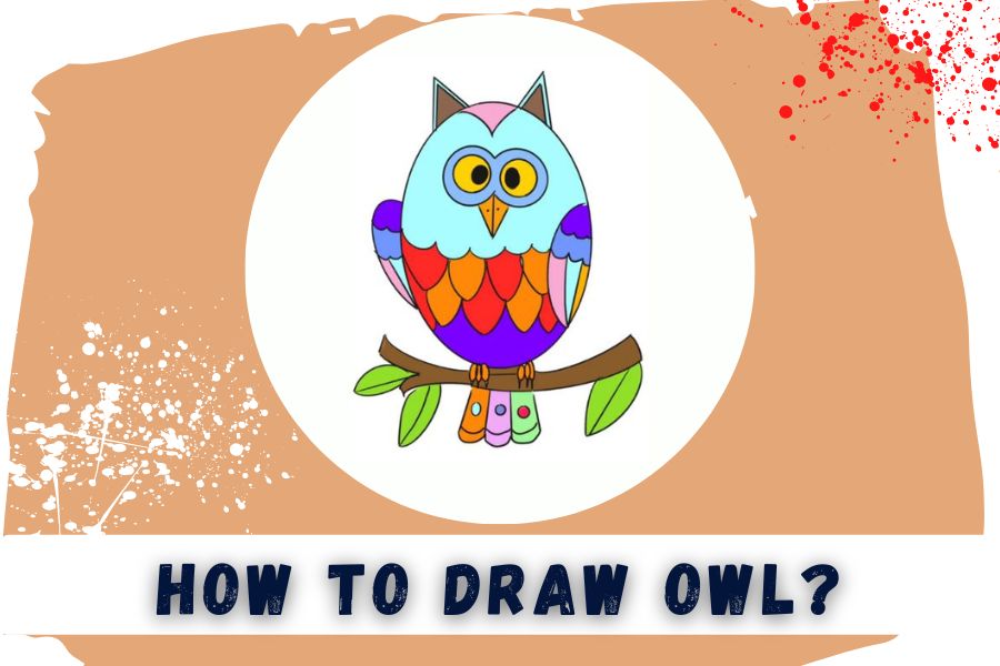 How To Draw Owl Drawing In Easy 9 Steps