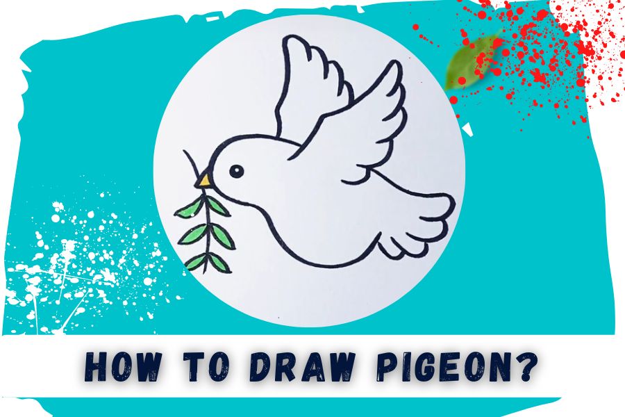 How To Draw Pigeon Drawing