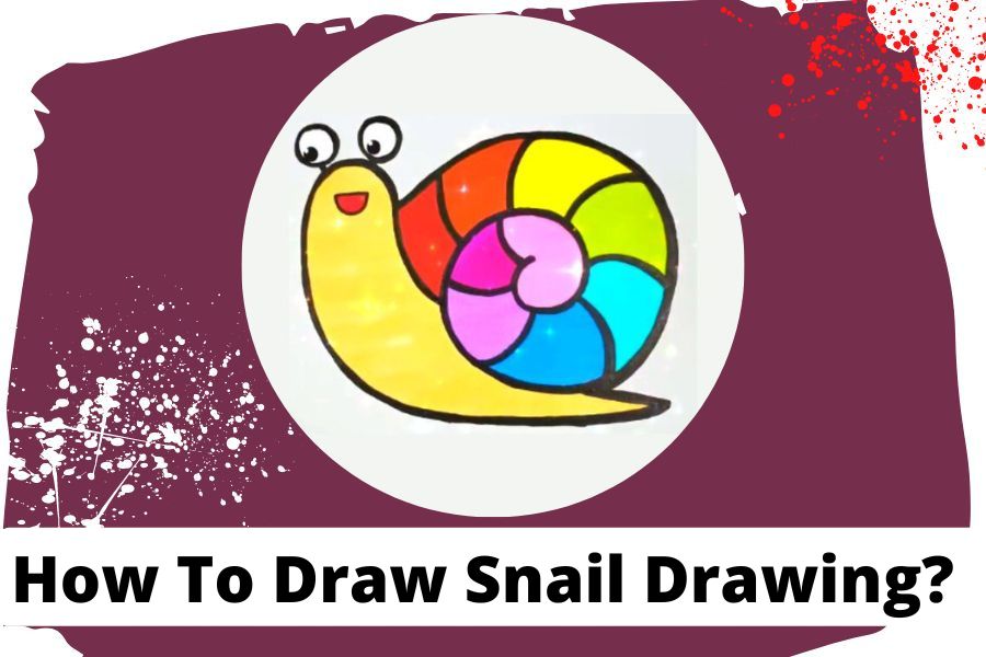 How To Draw Snail Drawing