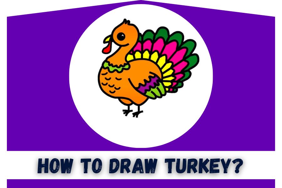How To Draw Turkey