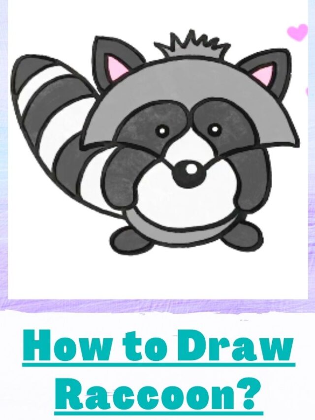 How To Draw A Raccoon | Step by Step Guide On Raccoon Drawing