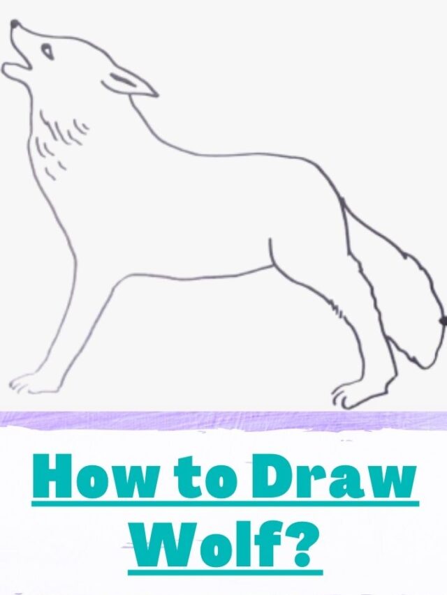 How To Draw A Wolf | Step-By-Step Guide on Wolf Drawing