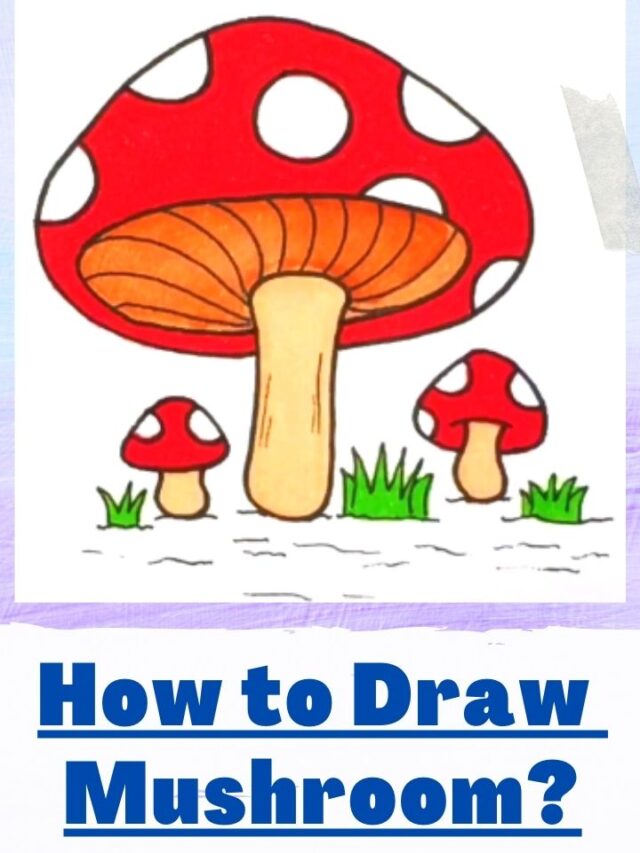 How to Draw Mushroom | Step By Step Guide On Mushrooms Drawing