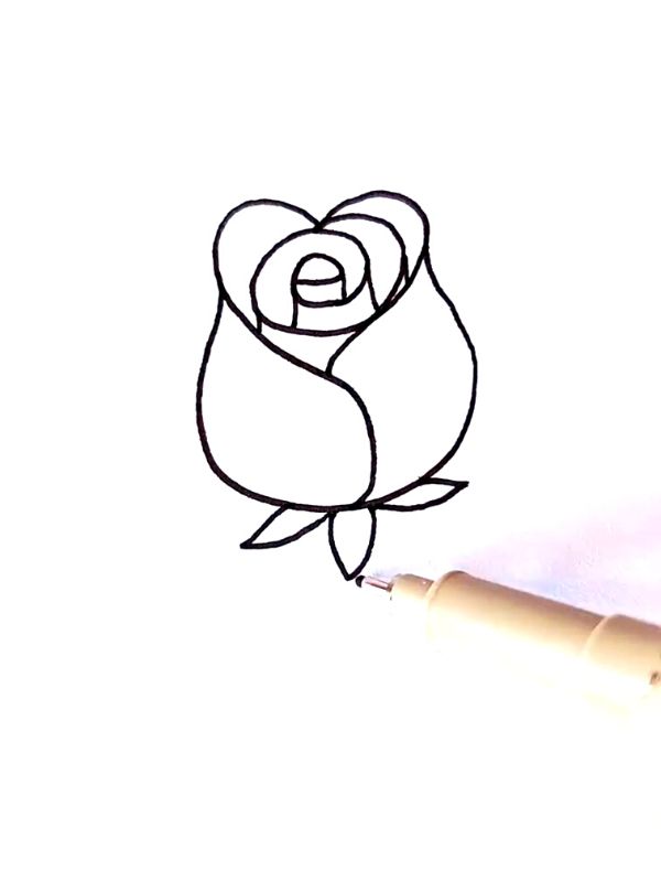 HOW TO DRAW PINK ROSE (1)