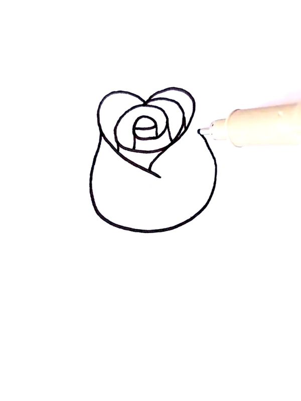 HOW TO DRAW PINK ROSE (4)