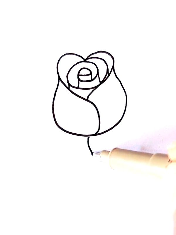 HOW TO DRAW PINK ROSE (5)