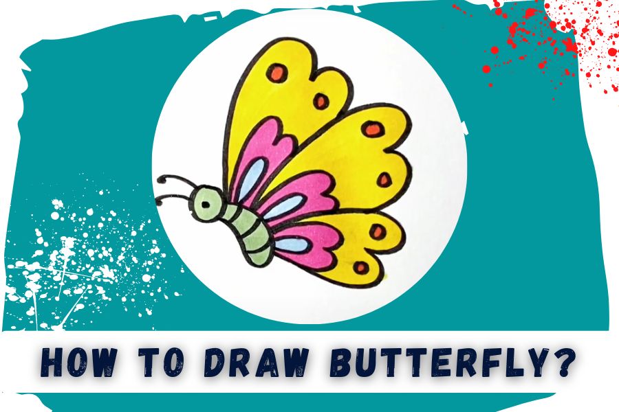 How To Draw Butterfly