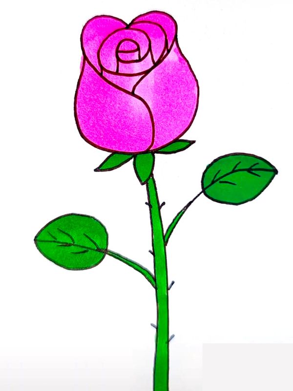 STEP BY STEP PINK ROSE DRAWING (1)