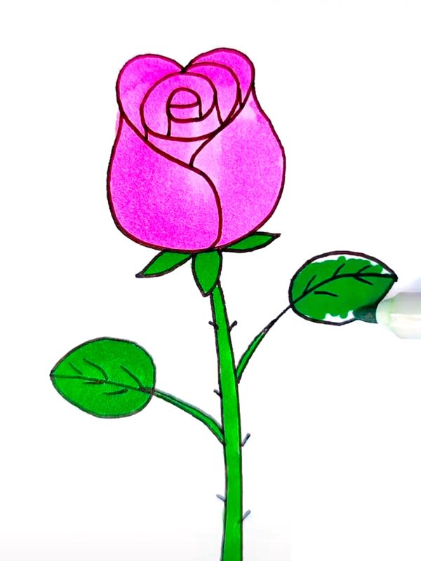 STEP BY STEP PINK ROSE DRAWING (5)