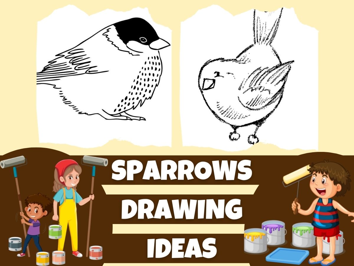 cute sparrow drawing ideas 2022 by viral painting
