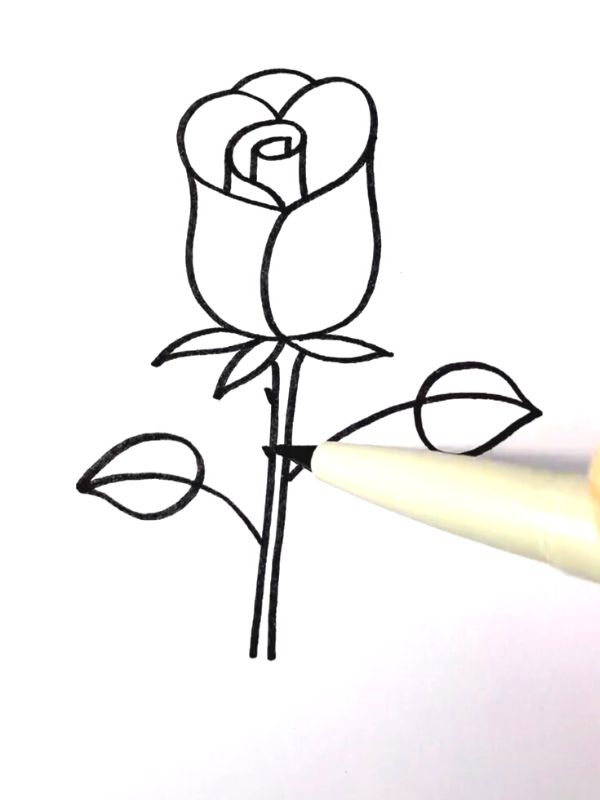 step by step rose drawing (3)