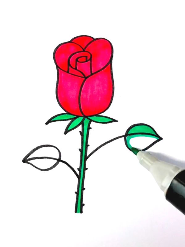 step by step rose drawing (5)