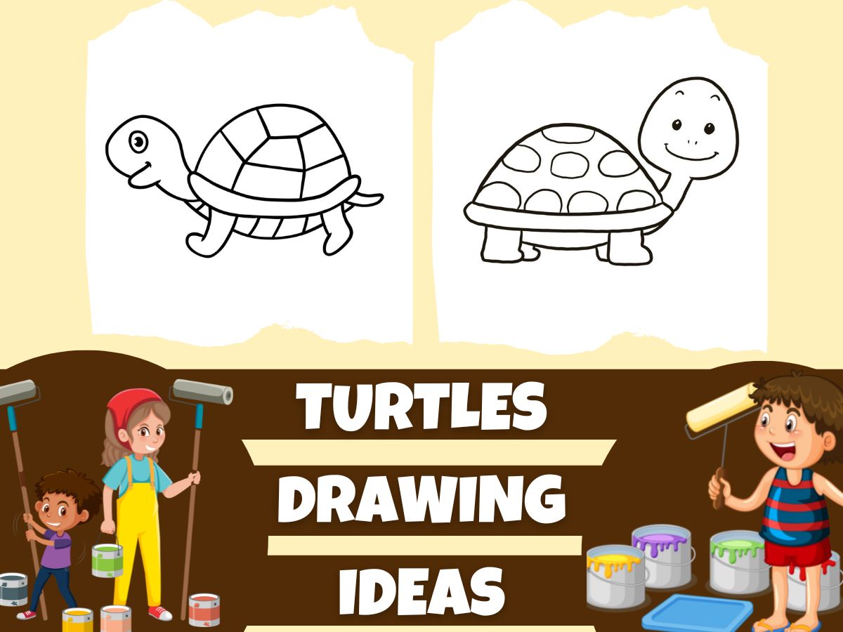 50+ turtle drawing ideas 2023 updated