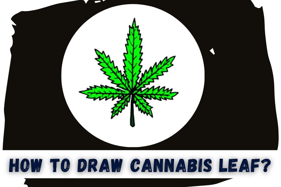 How To Draw A Cannabis Leaf