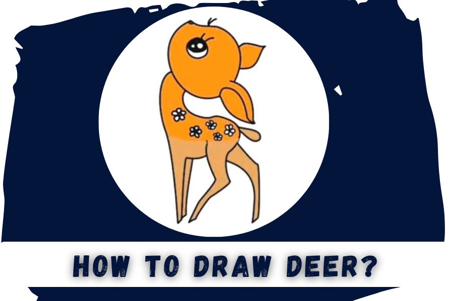 How To Draw A Deer