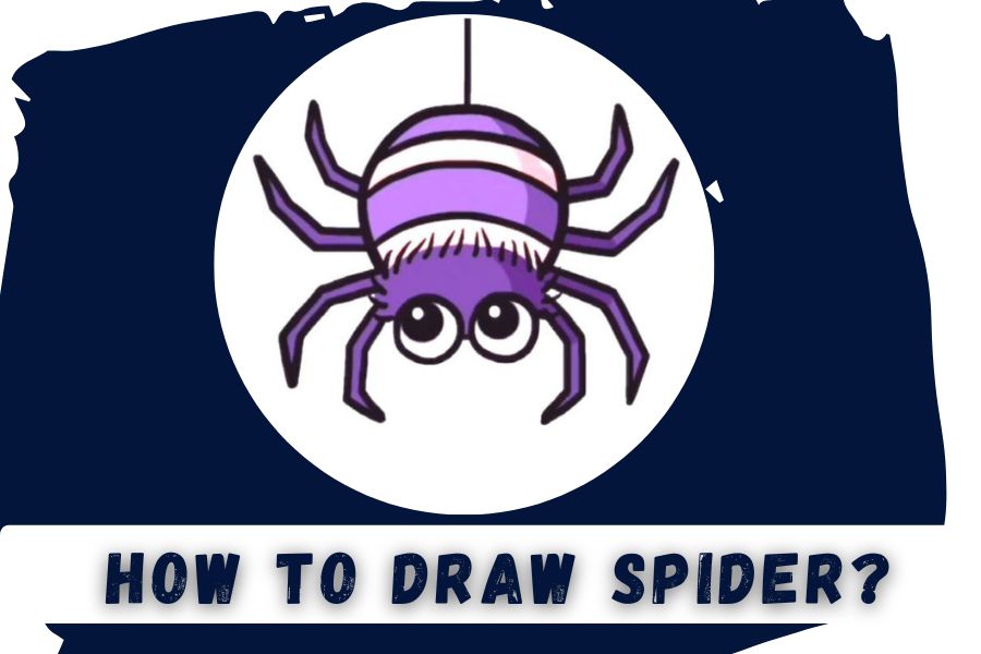 How To Draw A Spider