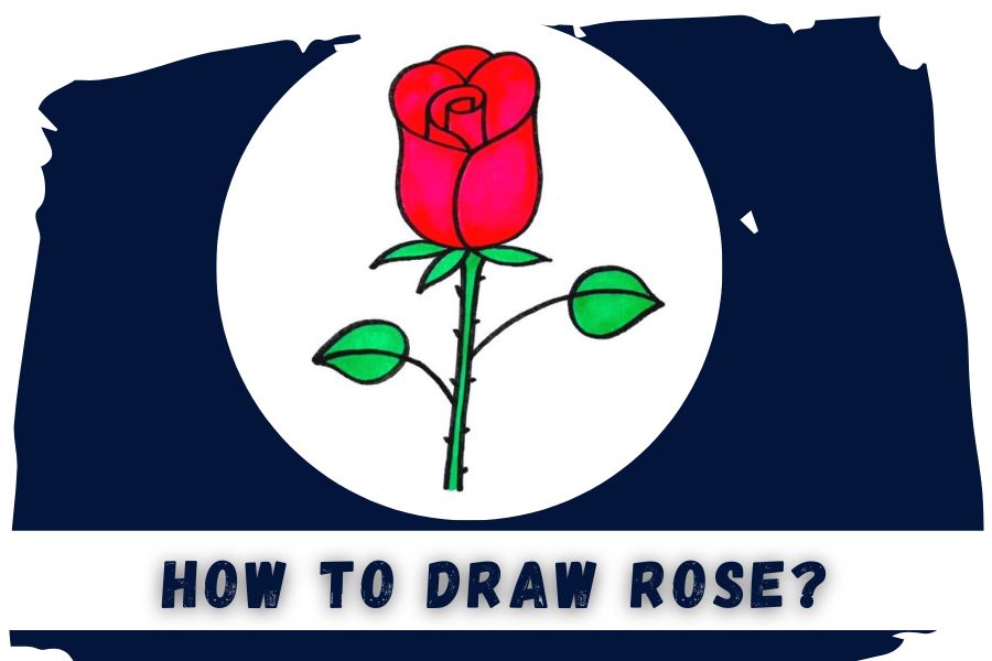 How To Draw Rose