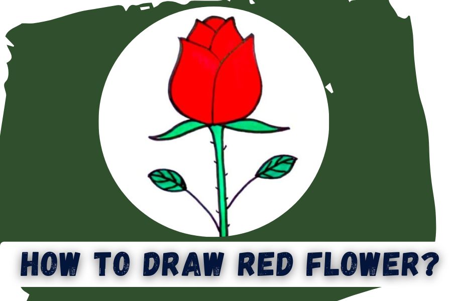 How To draw A Red Flower