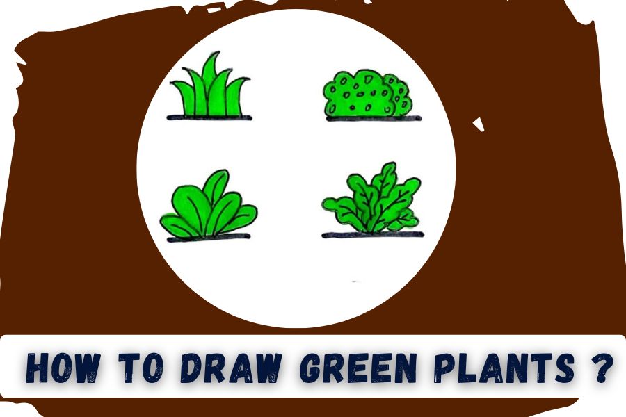 How to Draw Green Plants