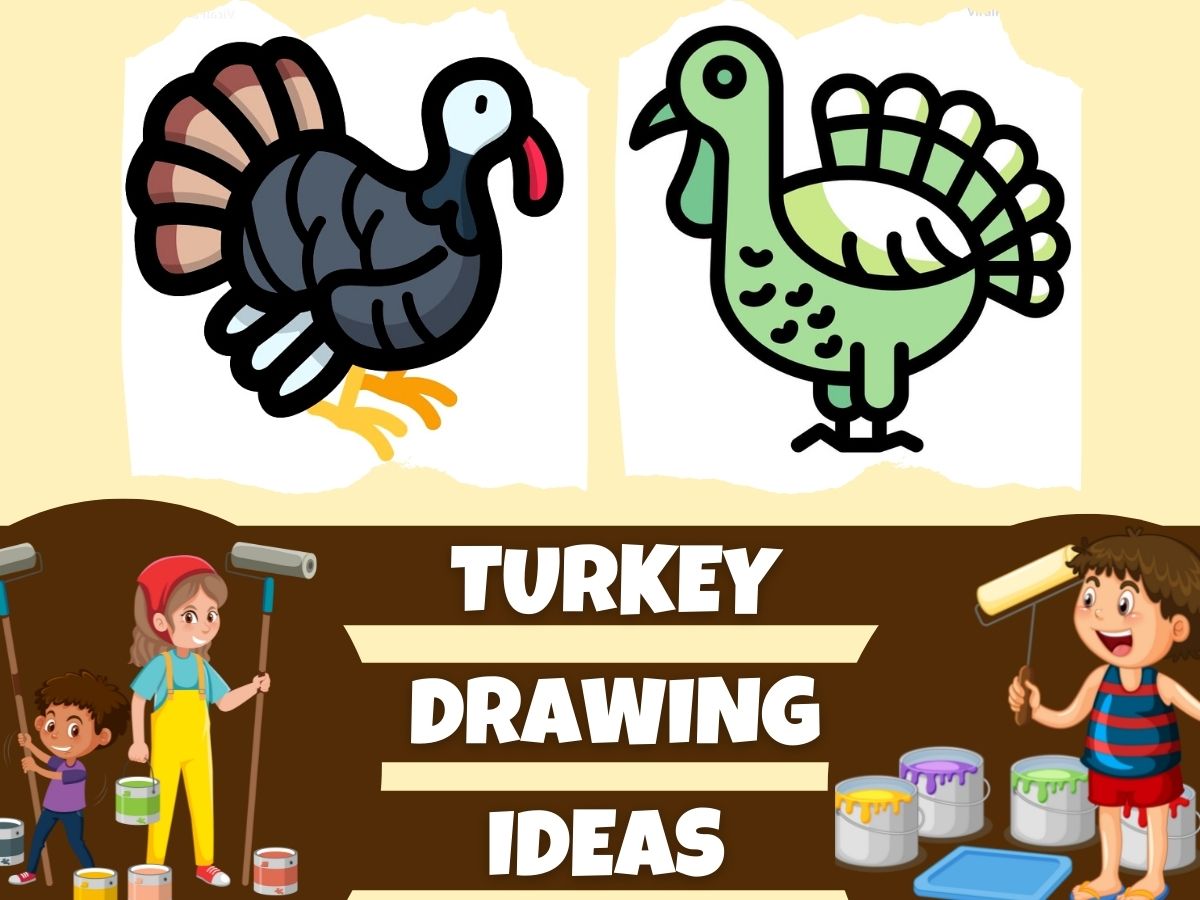Turkey Drawing Ideas For Kids To Adults Artists 2023 Updated