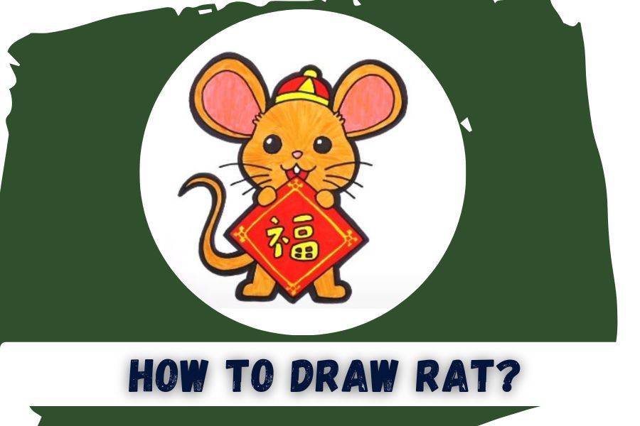 how to draw rat