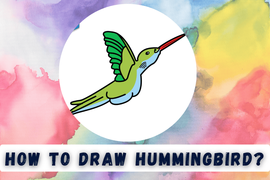 How to Draw Step By Step Hummingbird 10+Hummingbird Drawing Ideas